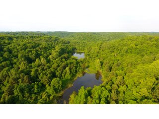 Property photo 77 - LAND AUCTION - 1,050+/- ACRES OFFERED IN 21 TRACTS PLUS 450+/- ACRE HUNTING LEASE IN MUSKINGUM COUNTY, OHIO